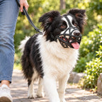 Adjustable Dog Muzzle – breathable lightweight design, four sizes