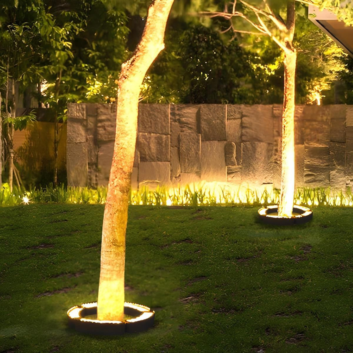 Curved LED Tree Uplighter