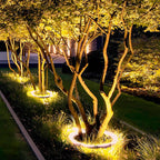 Curved LED Tree Uplighter