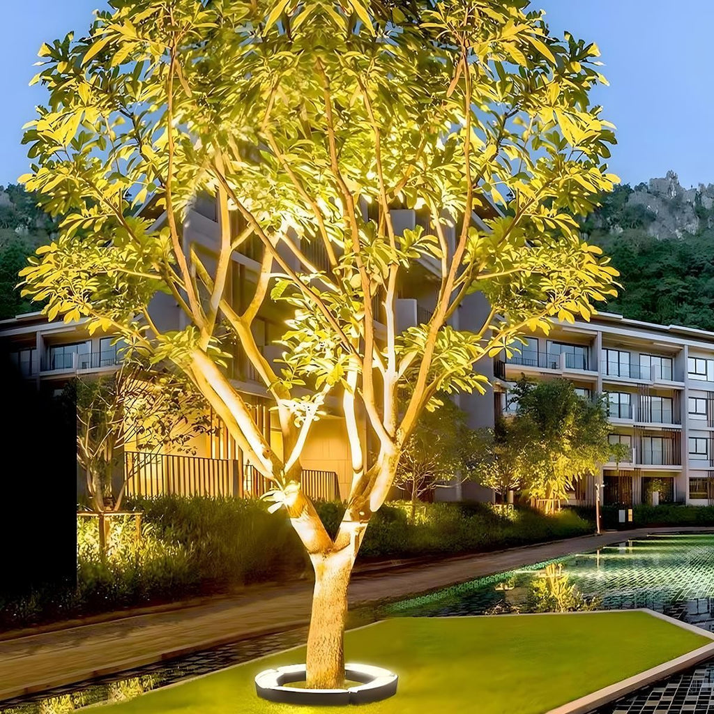 Curved LED Tree Uplighter