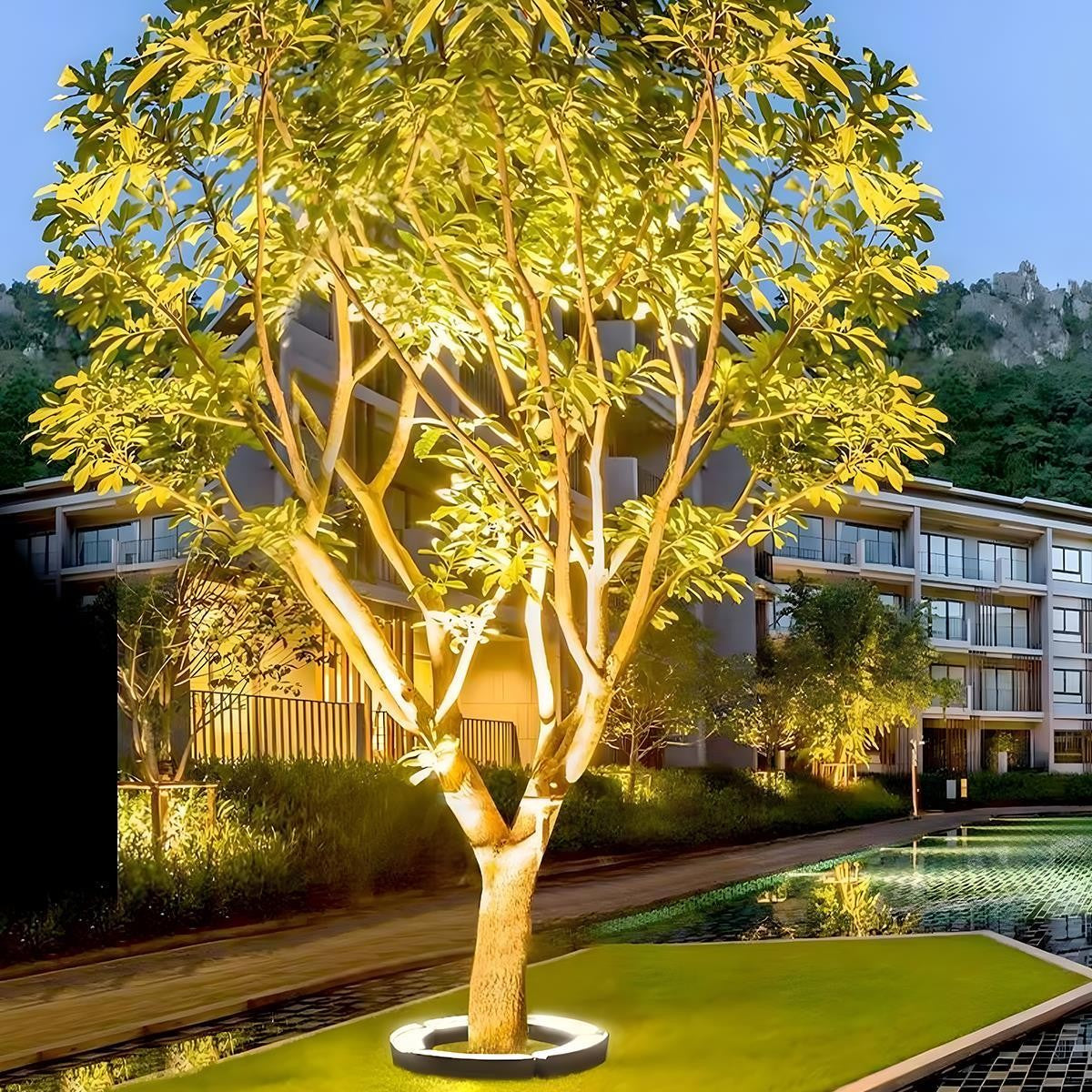 Curved LED Tree Uplighter