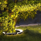 Curved LED Tree Uplighter
