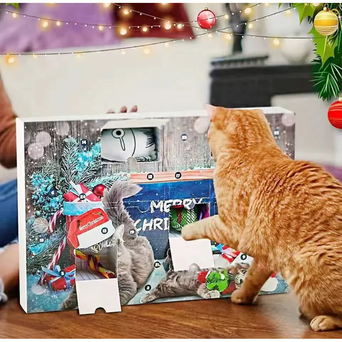 Dog and Cat Advent Calendar – mixed toys for daily play