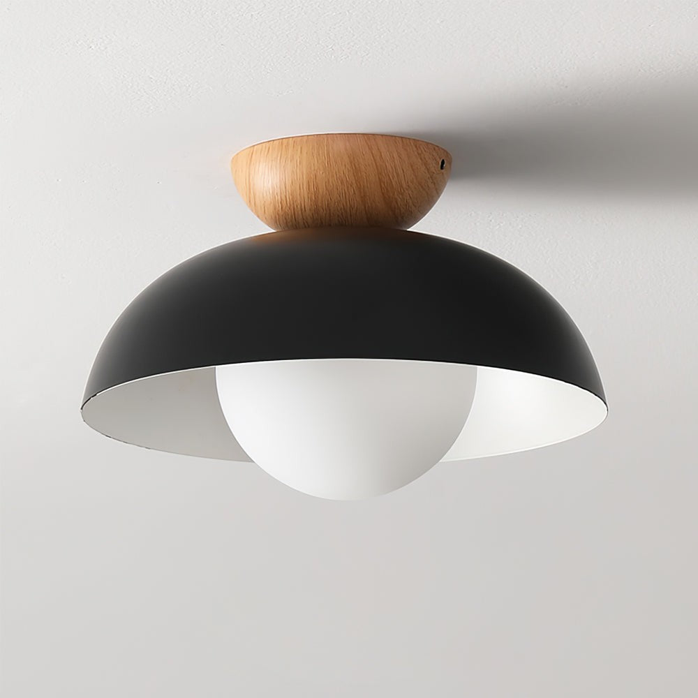 Dome Ceiling Light