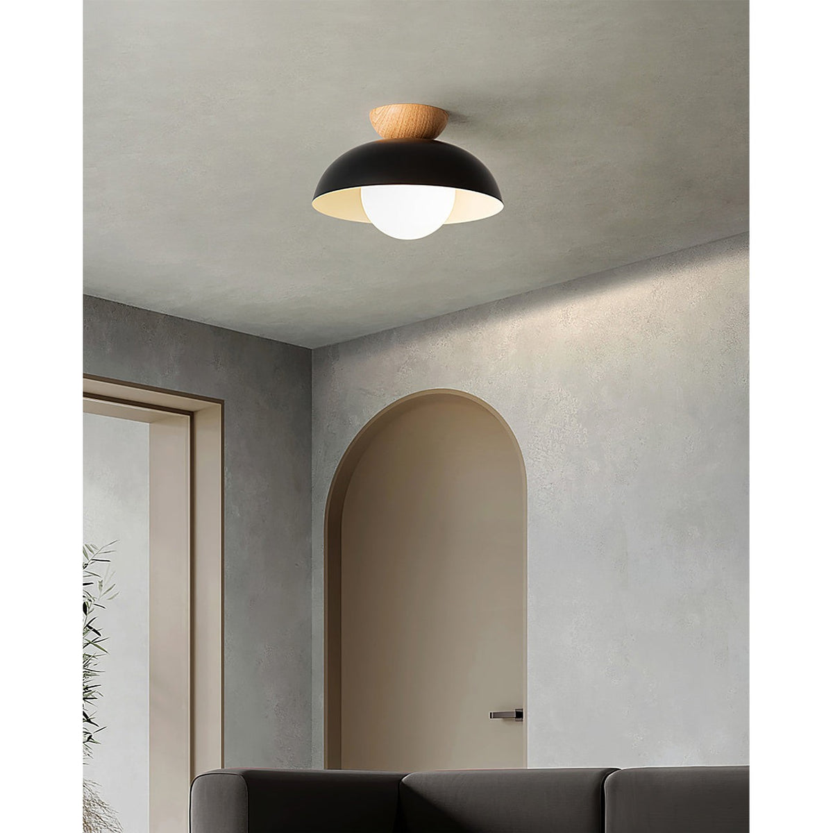 Dome Ceiling Light