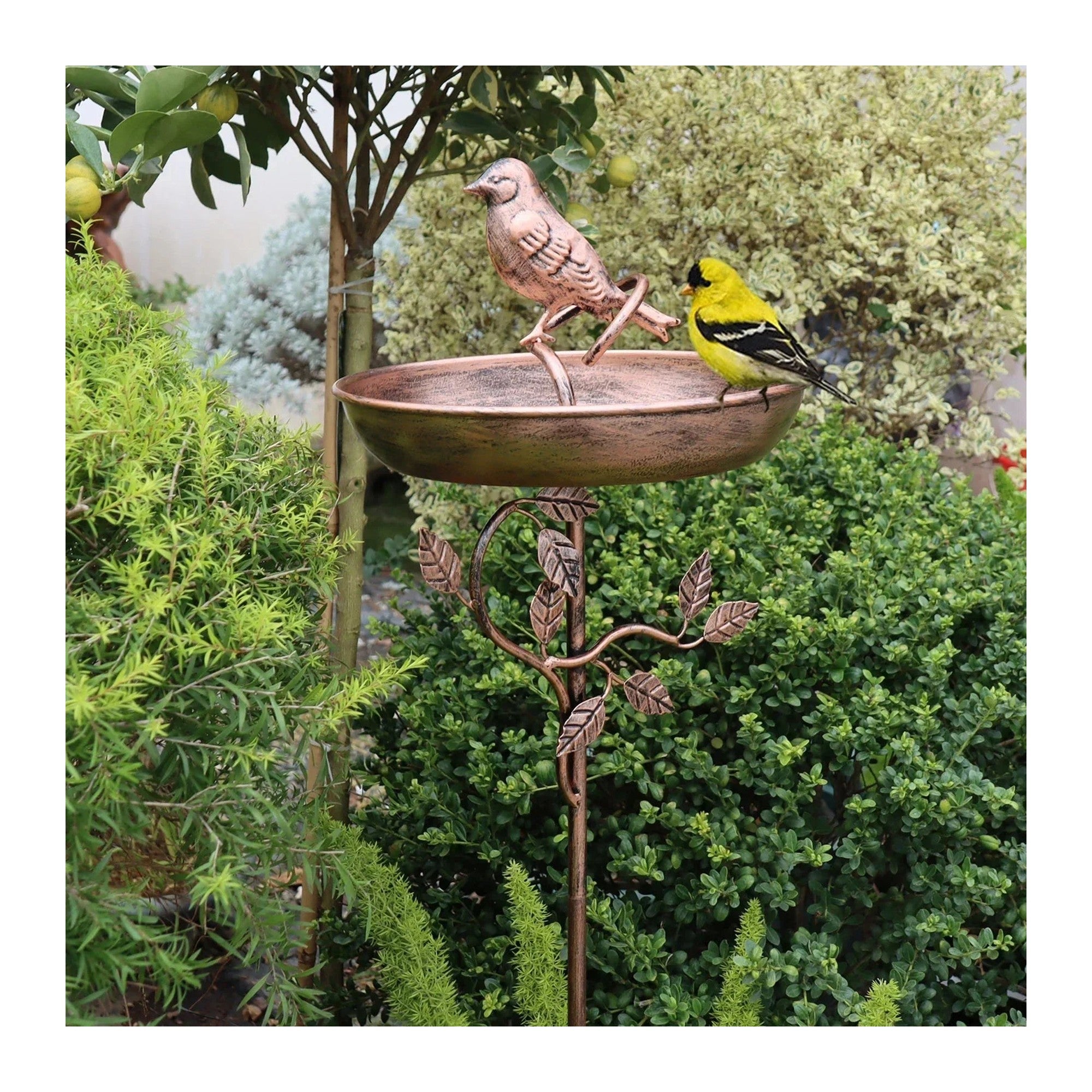 Standing Bird Bath
