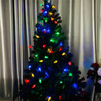 Faceted Bulb Fairy Lights