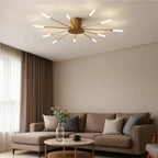Firework Ceiling Light