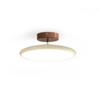 Flush Ceiling Light