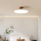 Flush Ceiling Light