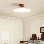 Flush Ceiling Light