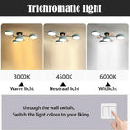 Halo LED Ceiling Light – semi-flush, iron and acrylic, 4–7 configurations