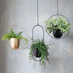 Hanging Metal Planter