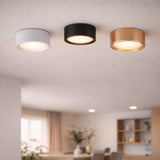 Modern Flush Mount Ceiling Light – matte iron, seven colours