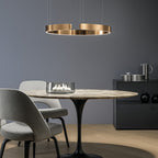 Open Ring LED Pendant Light