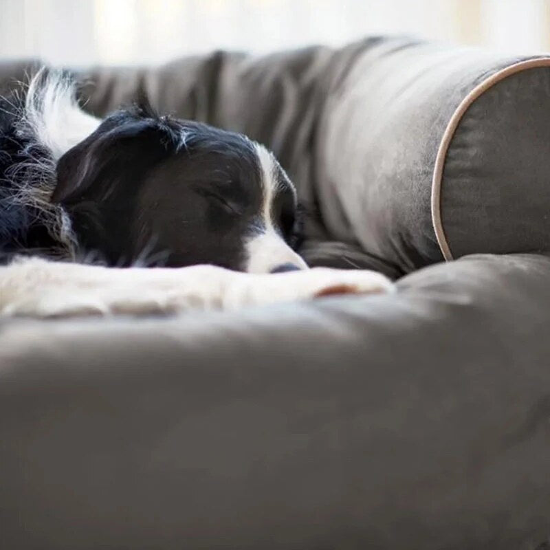 Orthopaedic Dog Bed – joint support cushioning, machine washable