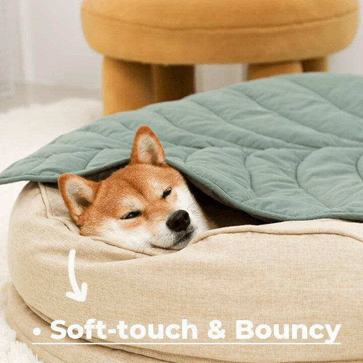 Orthopaedic Dog Bed – raised sides, removable cover, machine washable