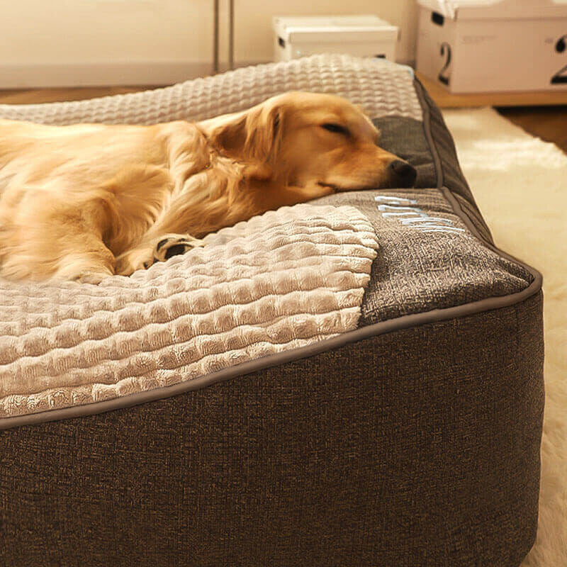 Orthopaedic Dog Bed – spine support, large breeds, multiple sizes