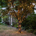 Outdoor Fairy Lights – warm white LEDs, battery powered, green cable