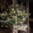Outdoor Fairy Lights – warm white LEDs, battery powered, green cable