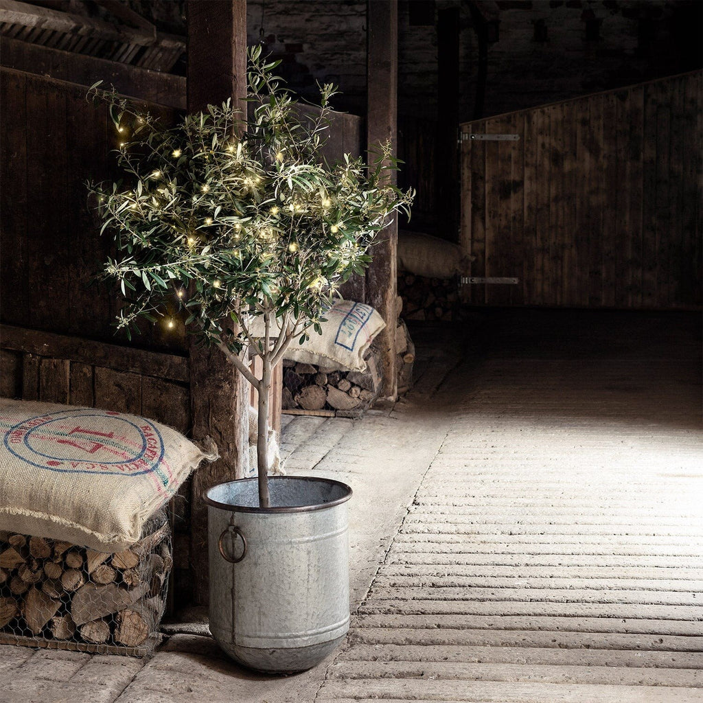 Outdoor Fairy Lights – warm white LEDs, battery powered, green cable