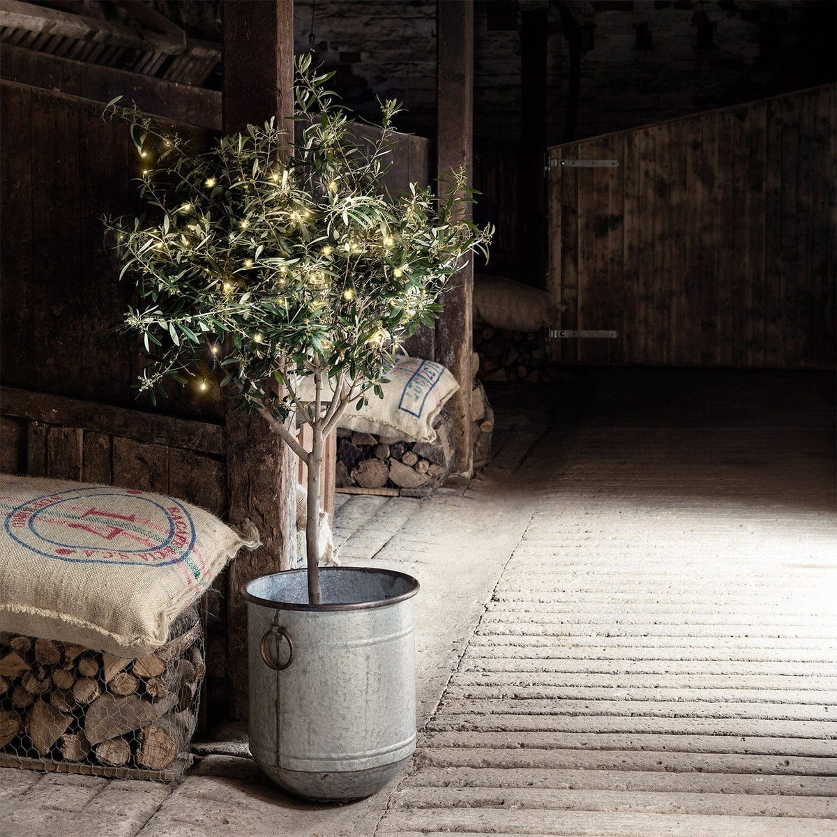 Outdoor Fairy Lights – warm white LEDs, battery powered, green cable