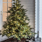 Outdoor Fairy Lights – warm white LEDs, battery powered, green cable