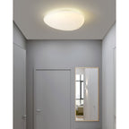 Pebble LED Ceiling Light