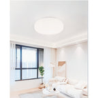 Pleated Dome Ceiling Light