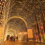 Plug-in LED Fairy Lights
